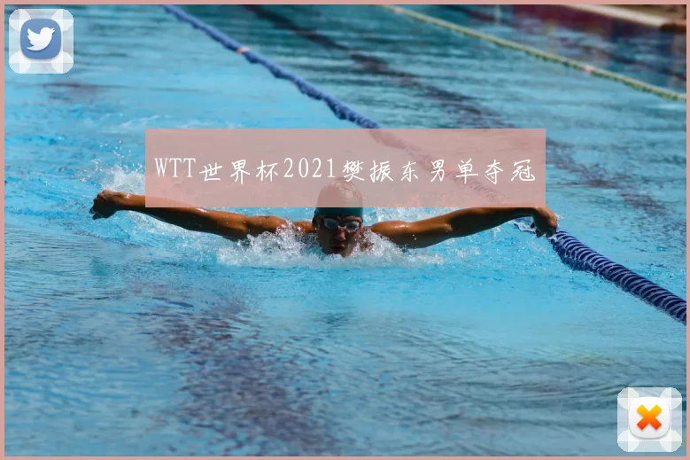 WTT世界杯2021樊振东男单夺冠