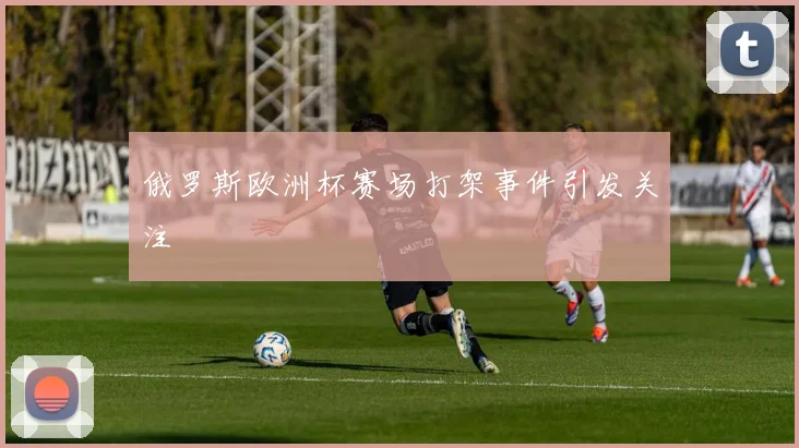 俄罗斯欧洲杯赛场打架事件引发关注
