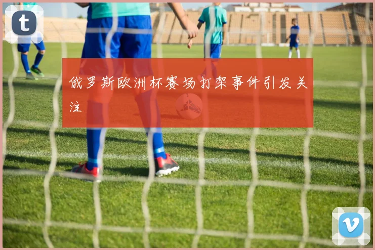 俄罗斯欧洲杯赛场打架事件引发关注